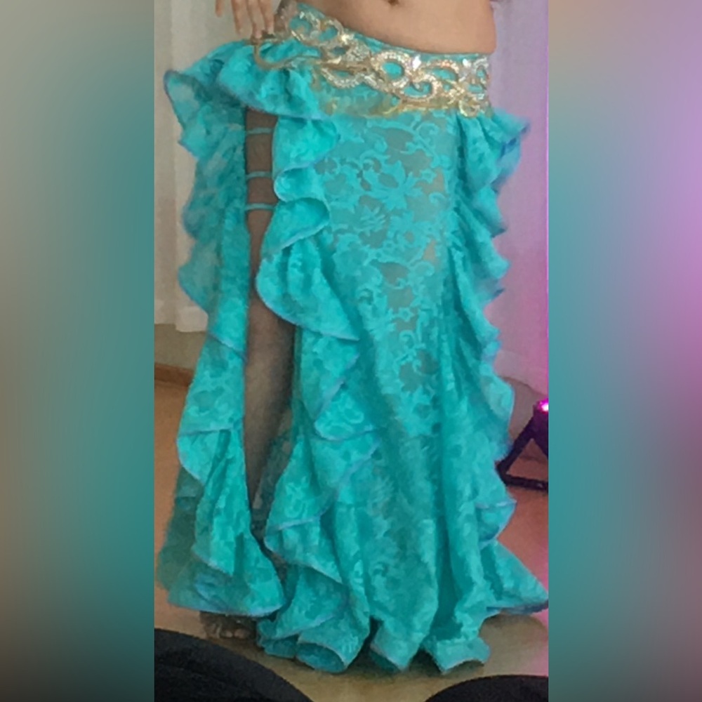 Professional Bellydance Skirt
